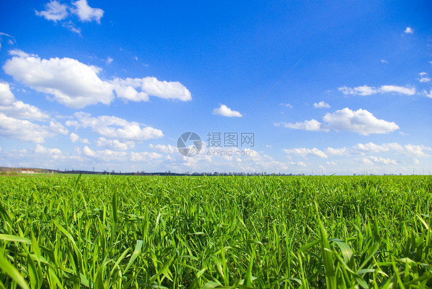 字段季节远景天空牧场土地农村阳光全景天气地平线图片