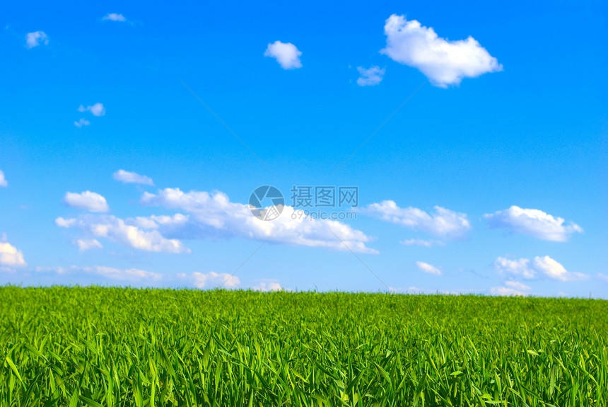 字段和天空风景农场草地场地国家土地农村阳光环境植物图片