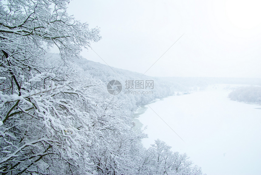 冬季团体天空植物季节森林天气雪花白色树木图片