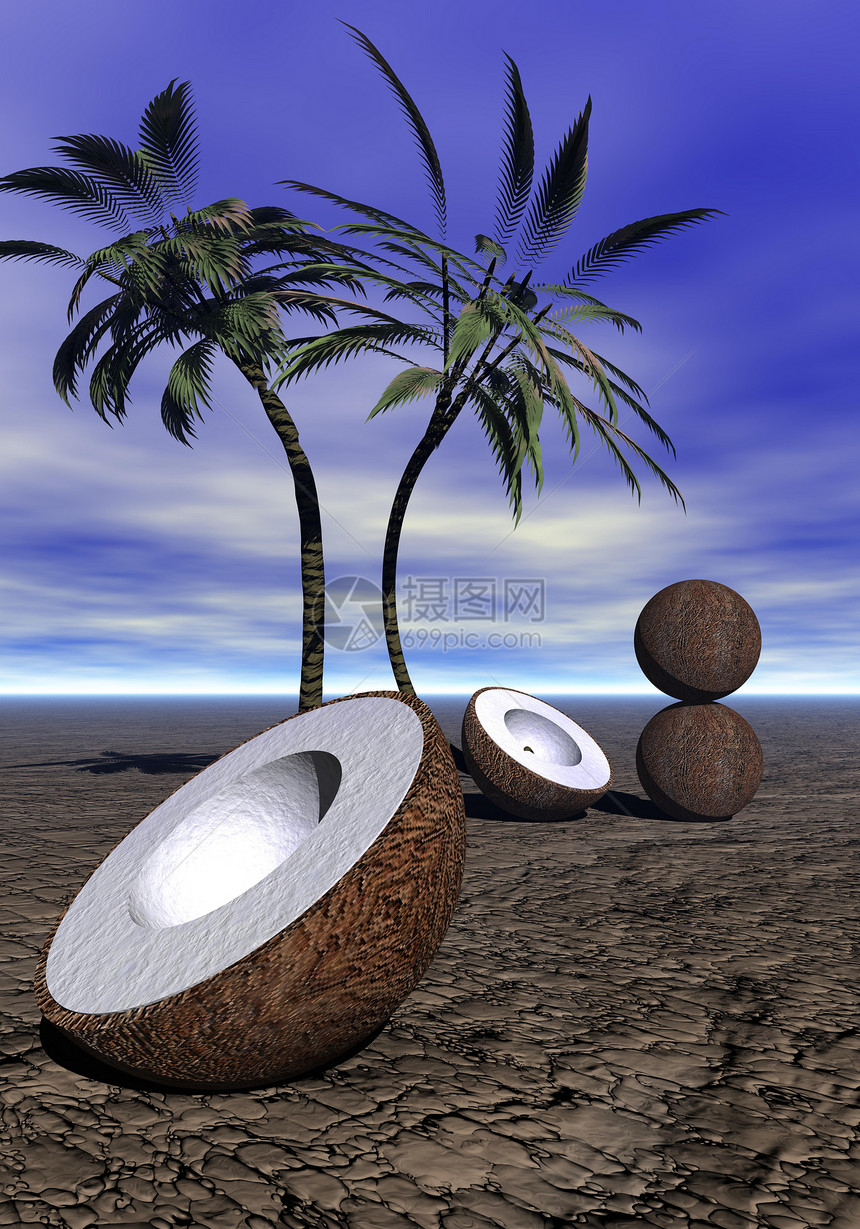 棕榈纹理水果宏观牛奶椰子摄影可可热带坚果照片图片