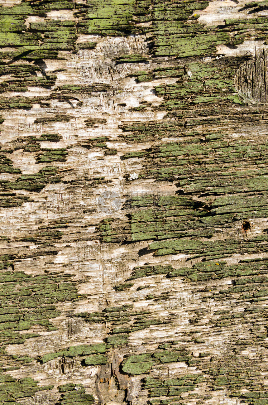 后退倒回翻换木制脱衣油漆墙壁封合木板乡村谷仓材料时间木头木材年份历史剥皮图片