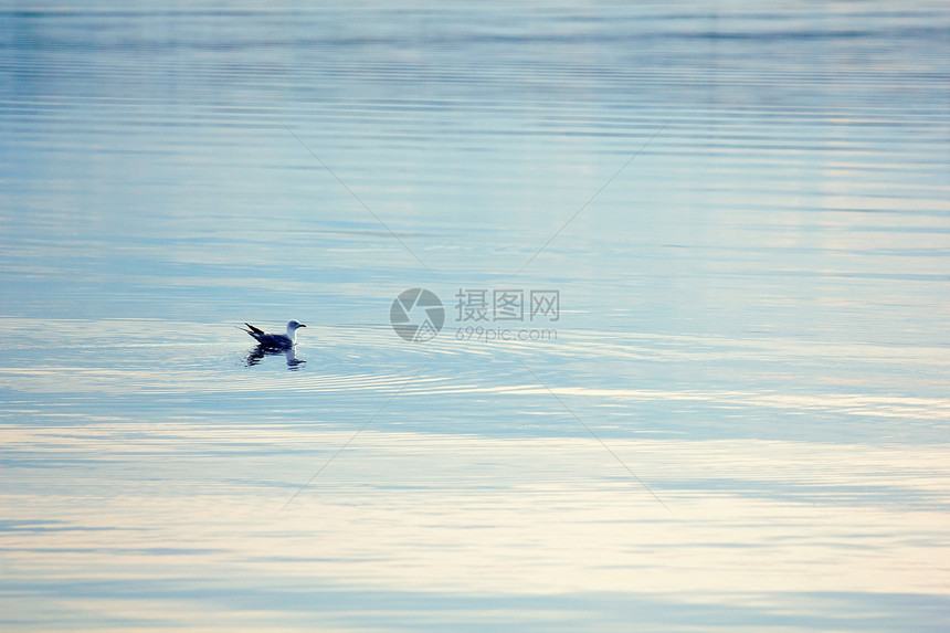 湖面的凝结图片