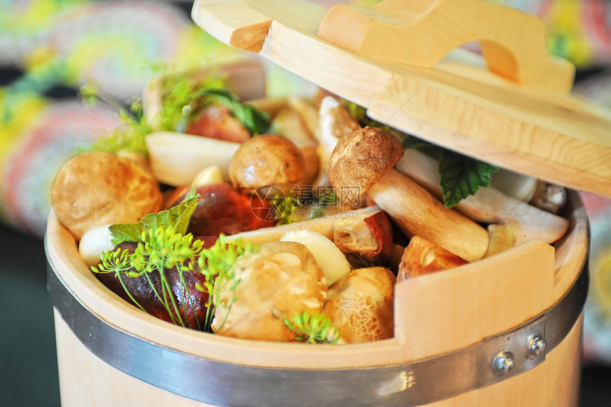 保存的蘑菇生长草本植物厨房韭菜芳香样本洋葱食物蔬菜辣椒图片