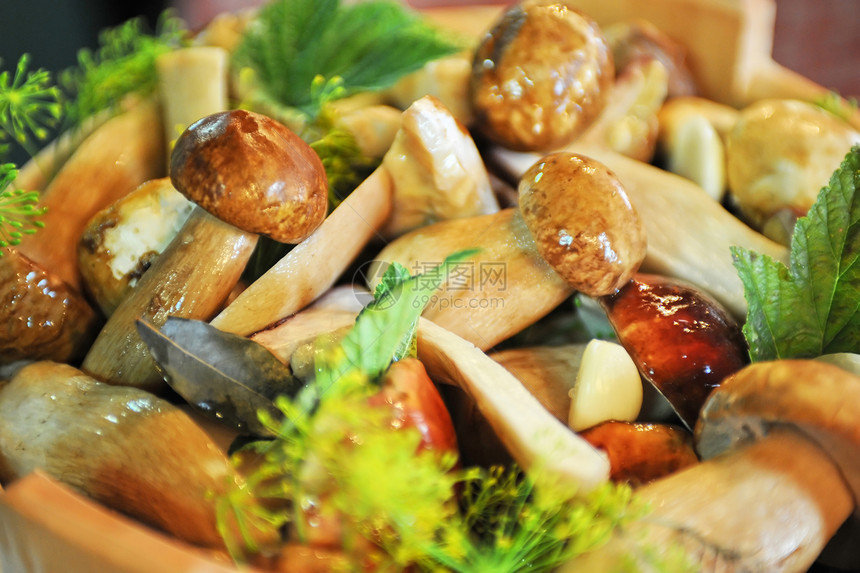 保存的蘑菇样本蔬菜烹饪季节辣椒生长木头厨房味道草本植物图片