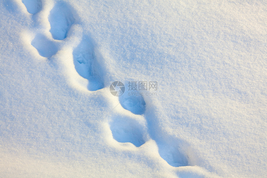 雪中脚印印象远足蓝色远足者寂寞暴风雪冻结脚步荒野步道图片