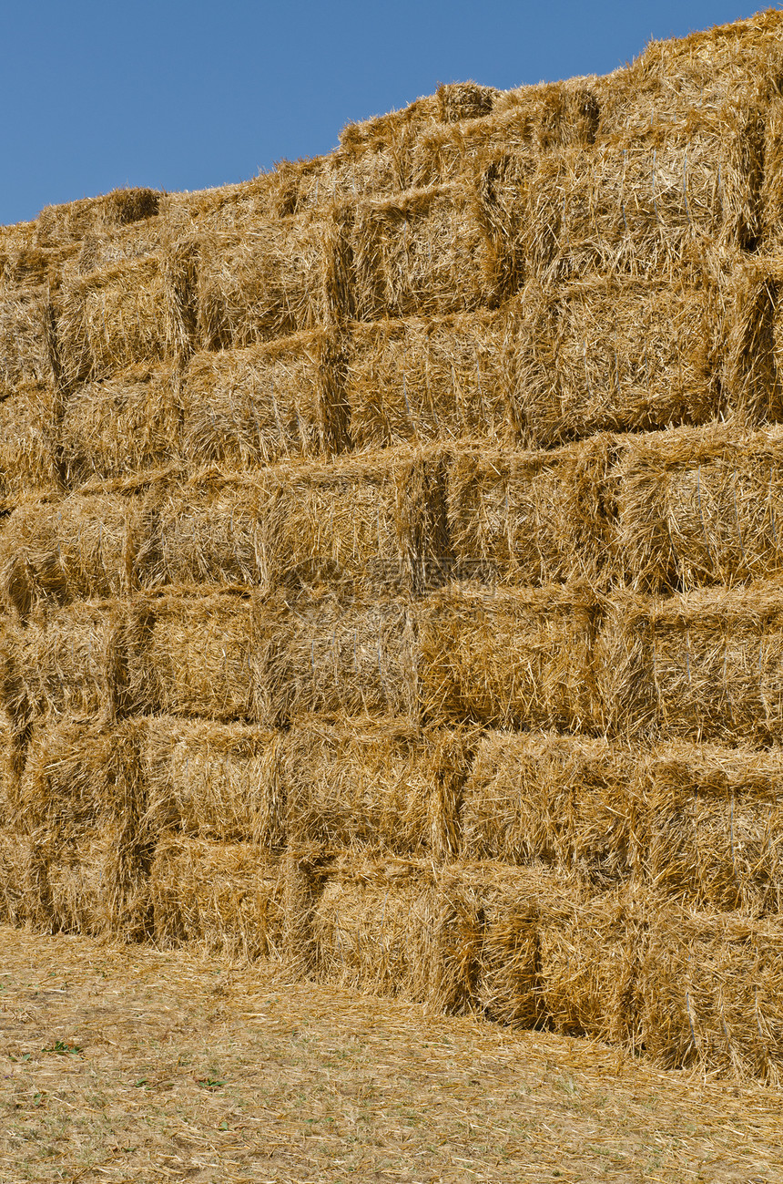 干草篮子金子小麦收获牧场草垛收成谷物季节城市场地图片