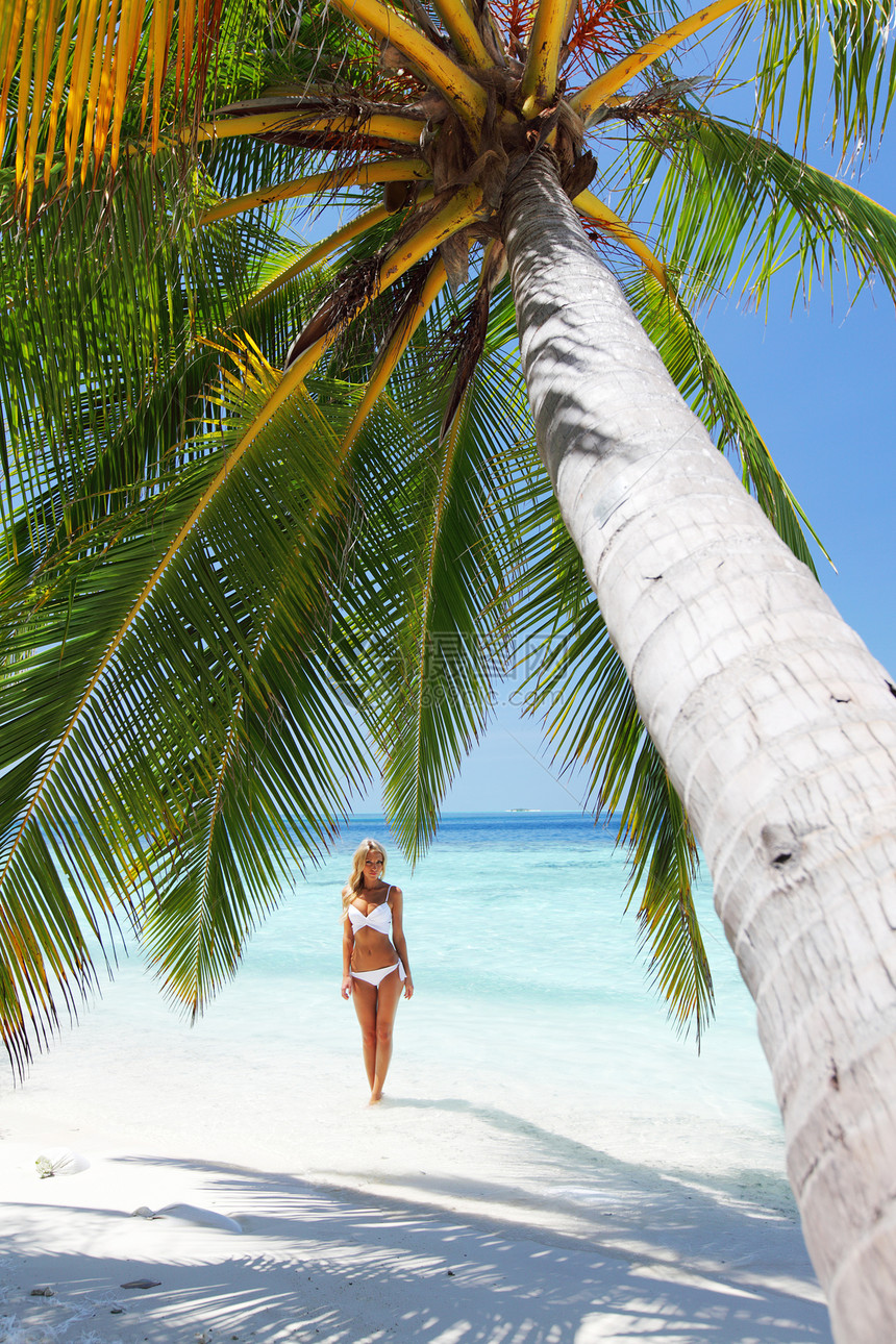 棕榈下的妇女蓝色假期温泉太阳热带女性天空女孩海岸植物图片