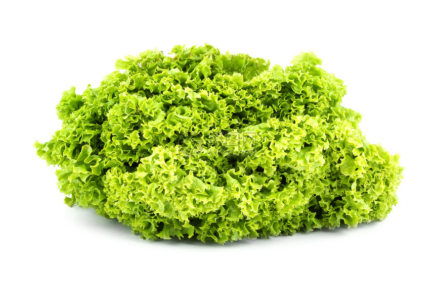 绿色黄油生菜工作室沙拉饮食长叶杂货水平养分白色莴苣多叶图片