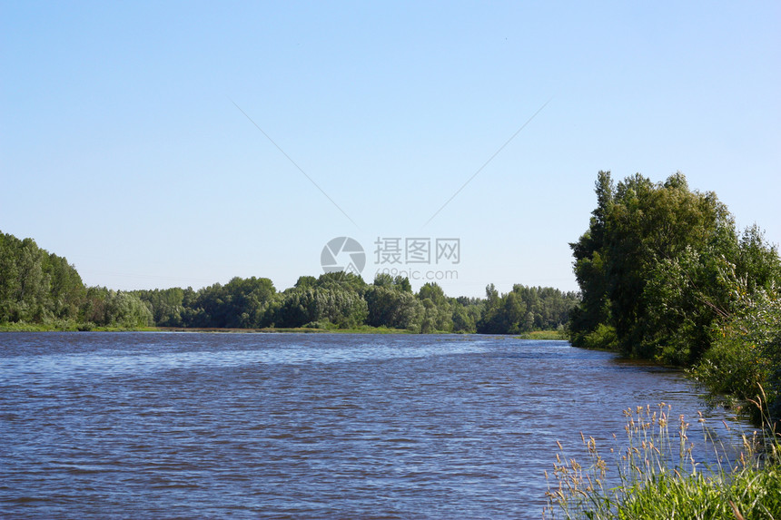 夏季风景与河流树叶天气植物阳光环境森林天空蓝色季节绿色图片
