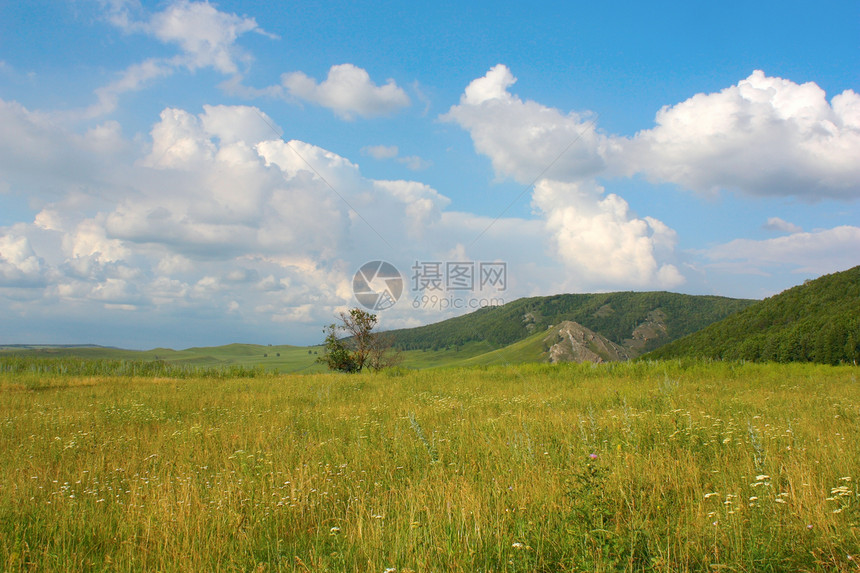 山丘的夏月风景叶子土地山脉森林全景草地太阳阳光环境爬坡图片