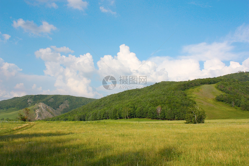 山丘的夏月风景爬坡城市太阳森林场景环境叶子针叶全景场地图片