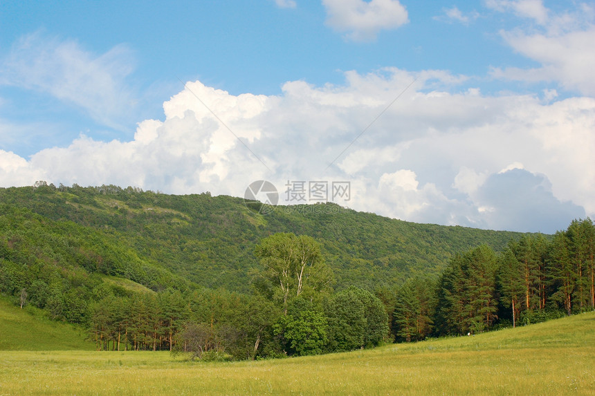 夏季风景草地叶子森林场地环境场景季节阳光全景山脉图片