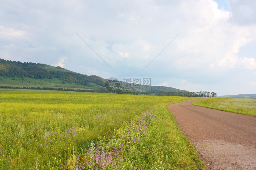 村公路叶子森林美丽场景草地荒野山脉环境场地城市图片