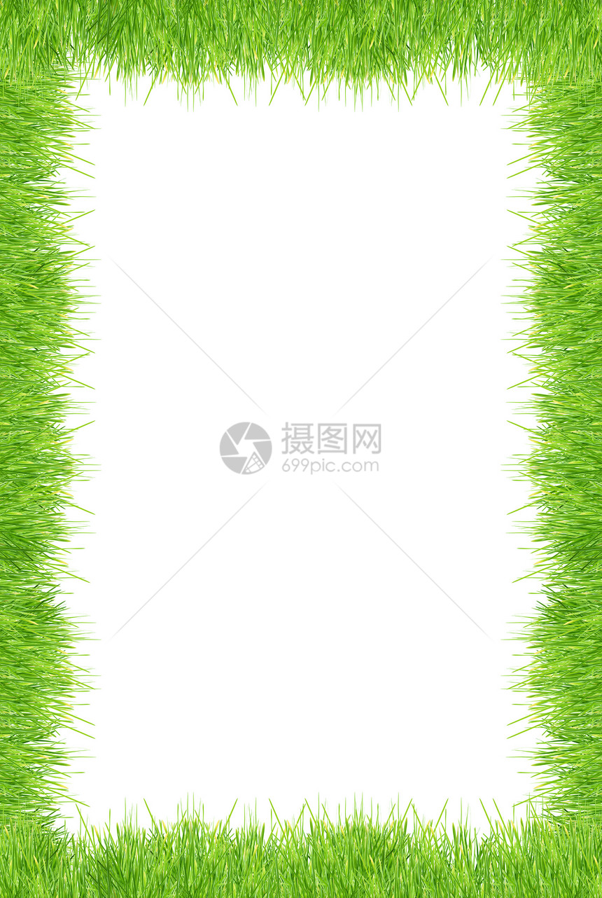 青草叶子植物刀刃场景绿色白色边界草地水平树篱图片