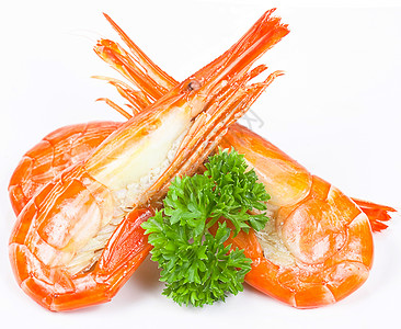 白色背景上的虾食物海鲜宏观背景图片