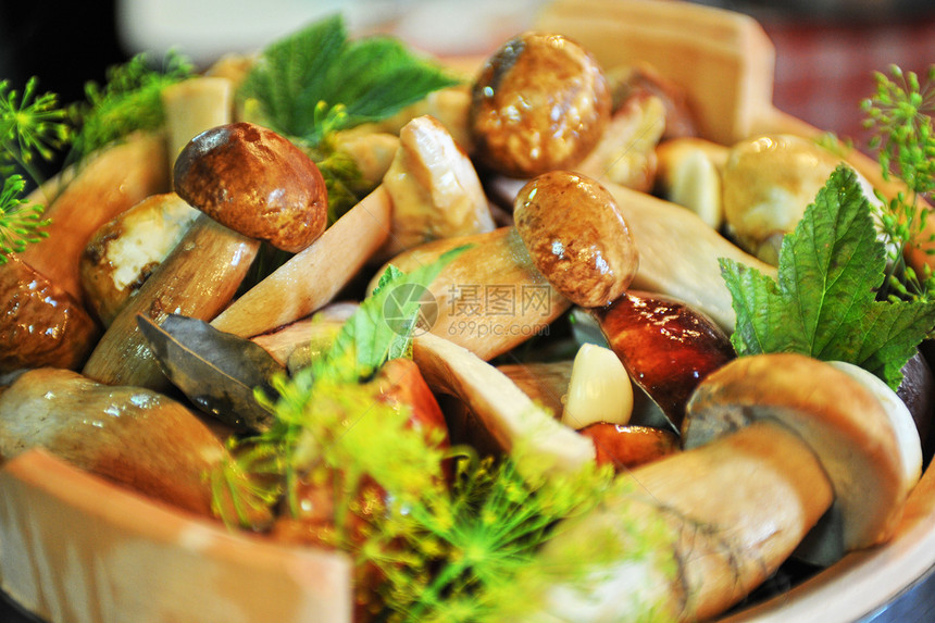 保存的蘑菇芳香胡椒样本洋葱蔬菜韭菜生长味道厨房香料图片