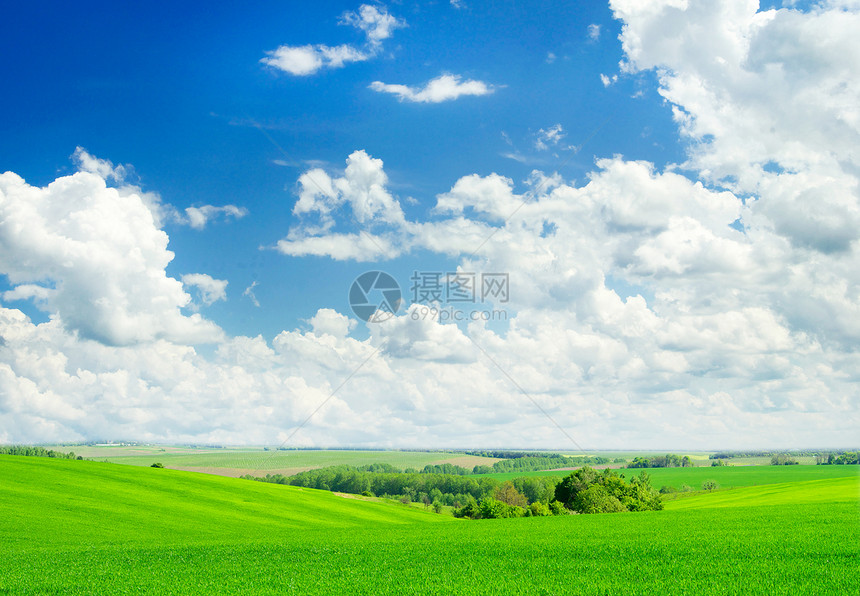 绿地和蓝天空农村国家生长牧场地平线天空天气草原季节天堂图片