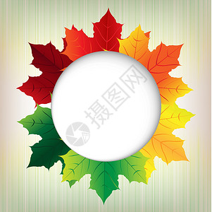 加拿大秋天秋天的落叶与讲话泡泡横幅气泡墙纸圆圈叶子网络曲线演讲宏观说话设计图片