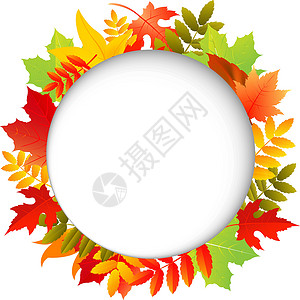 加拿大秋天含有言语泡沫的秋叶叶设计图片
