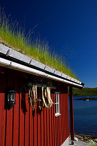 渡湾边的渔船小屋绿化钓鱼草皮鳕鱼屋顶风景高清图片