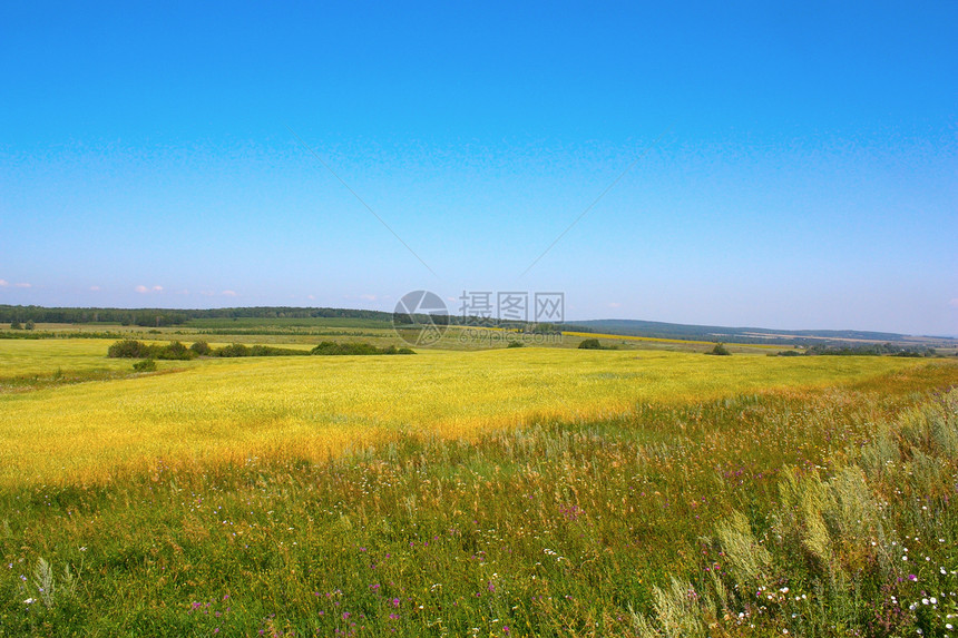 乡村夏季景观国家草地蓝色草原环境孤独全景牧场丘陵视野图片