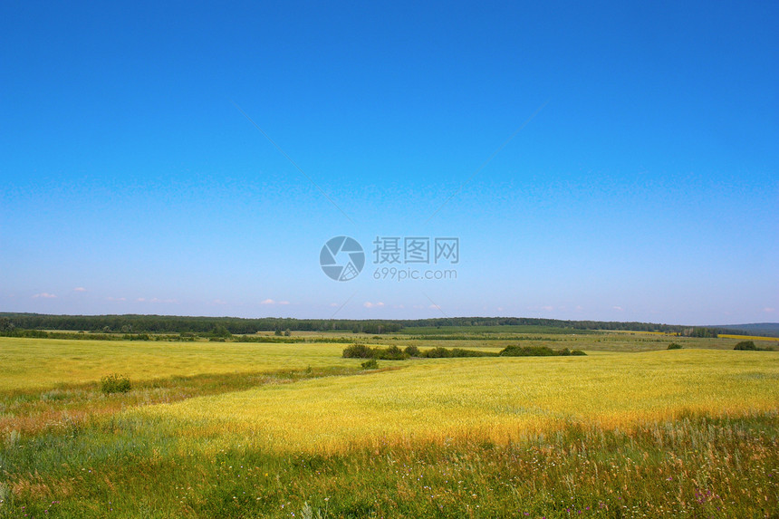 乡村夏季景观牧场场景农业照片土地草原环境国家晴天蓝色图片