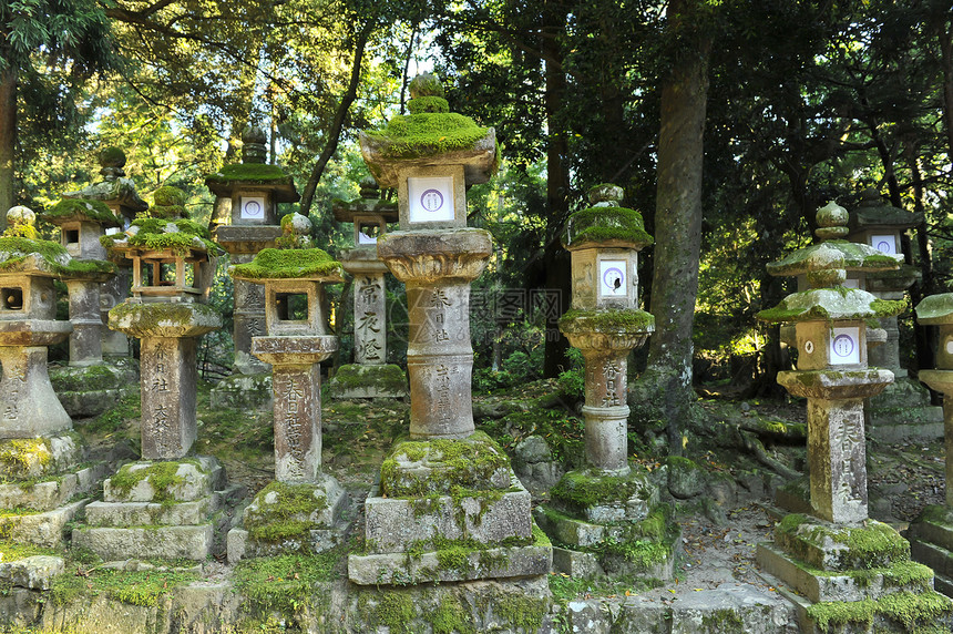 日本灯笼神社苔藓传统吸引力文化石头旅游神道地标旅行图片