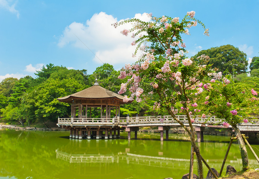 纳拉的Gazebo建筑学花园植物城市建筑池塘房子凉亭公园树木图片