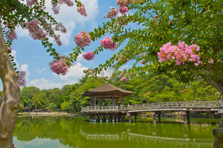 纳拉的Gazebo公园建筑学樱花城市建筑房子植物凉亭池塘花园图片