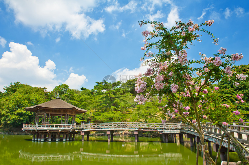 纳拉的Gazebo建筑学公园花园池塘建筑房子樱花城市植物凉亭图片