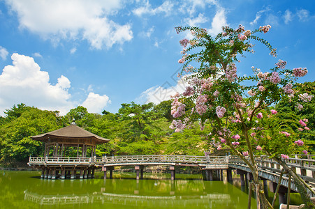 纳拉的Gazebo建筑学公园花园池塘建筑房子樱花城市植物凉亭夏天高清图片素材