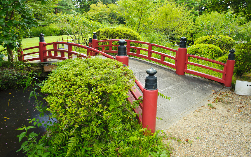 美美的日本花园软垫池塘粉色水池绿色花园松树红色公园分支机构图片