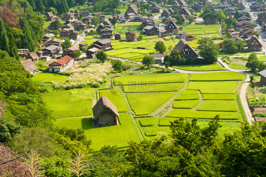 Ogimachi村三角形文化农家农场遗产历史房屋露天博物馆村庄图片