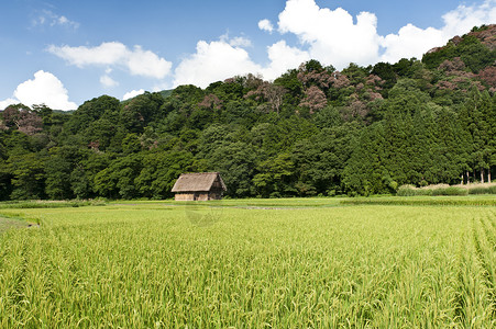 稻米田遗产场地农场博物馆村庄白川山脉森林天空合掌背景图片