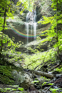 瀑布池塘地标森林鹅卵石荒野彩虹石头旅游溪流木头高清图片