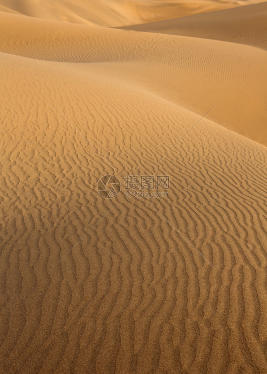 马斯帕洛马斯大加那利群岛沙漠沙丘孤独绿洲旅行线条干旱地标假期荒野太阳利岛图片