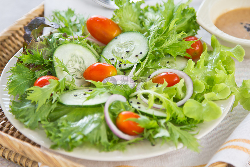 蔬菜沙拉加芝麻芝麻酱食物黑色叶子黄瓜营养健康饮食洋葱草本植物美食图片