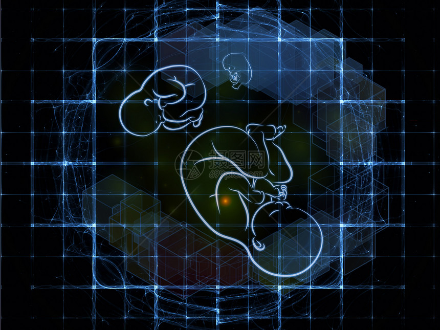 妇女概念科学黑色胎位屏幕几何学网格插图蓝色孩子胎儿图片