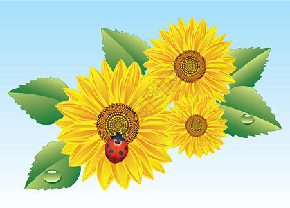 矢量向日葵插图橙子植物宏观植物群金子太阳花园瓢虫晴天背景图片