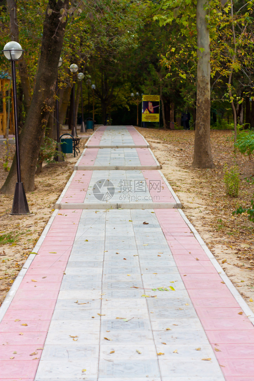 在公园中行走路径绿色国家木头植物人行道旅行叶子自由小路街道图片