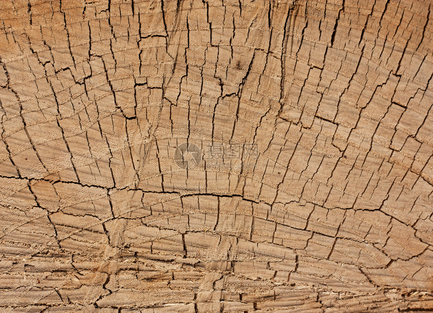 树树的环作为背景风化条纹生活树干木材年度建造同心圆圈历史图片