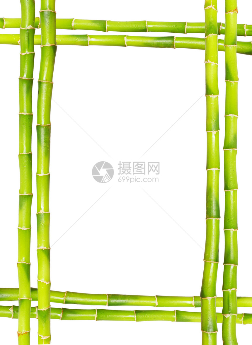 竹竹框白色环境木头气候文化森林绿色花园场景叶子图片