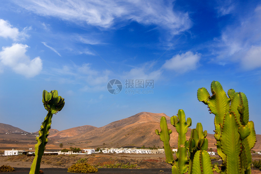 与仙人掌和山丘植物群水果火山房屋石头粉饰植物学胭脂红天空沙漠图片