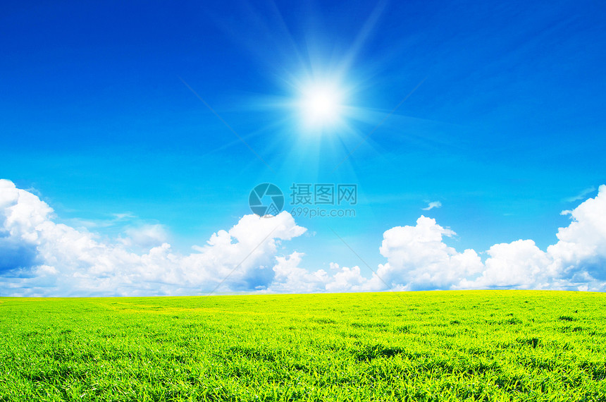 草地和完美的天空农场太阳场景生长晴天季节天气国家植物地平线图片