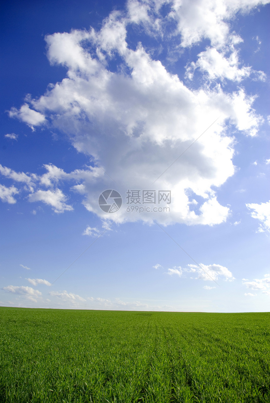 字段植物国家环境阳光远景风景地平线草地天气季节图片