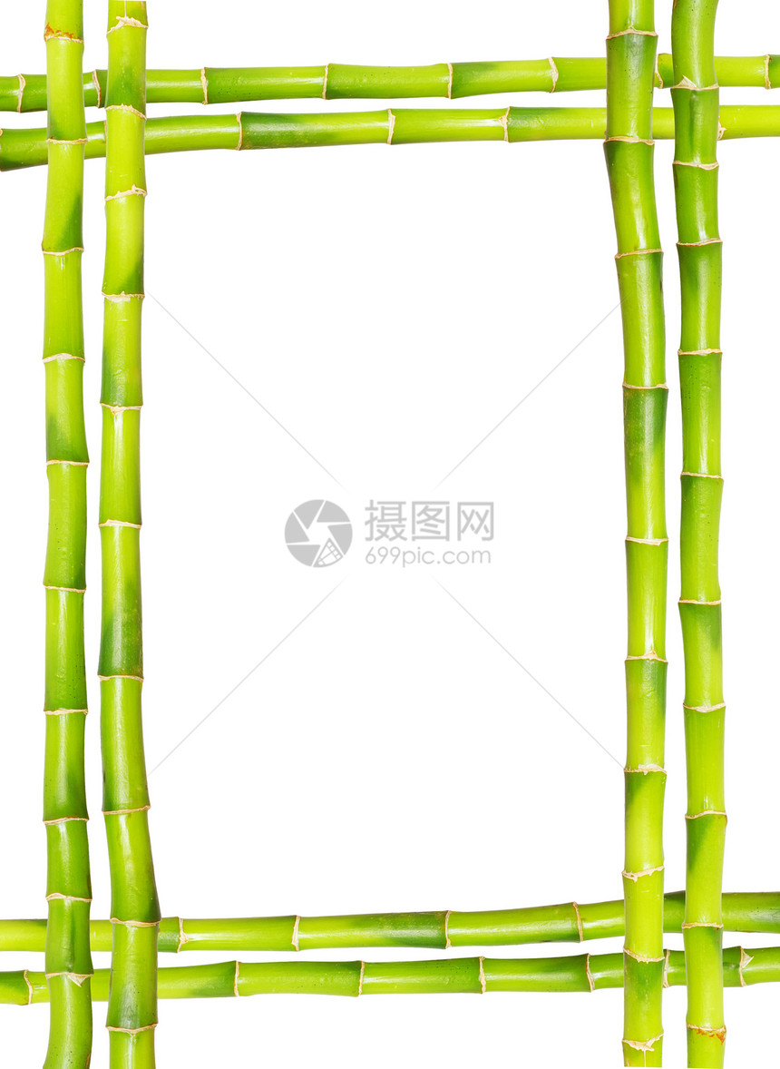 竹竹框花园框架热带森林生活白色叶子环境活力气候图片