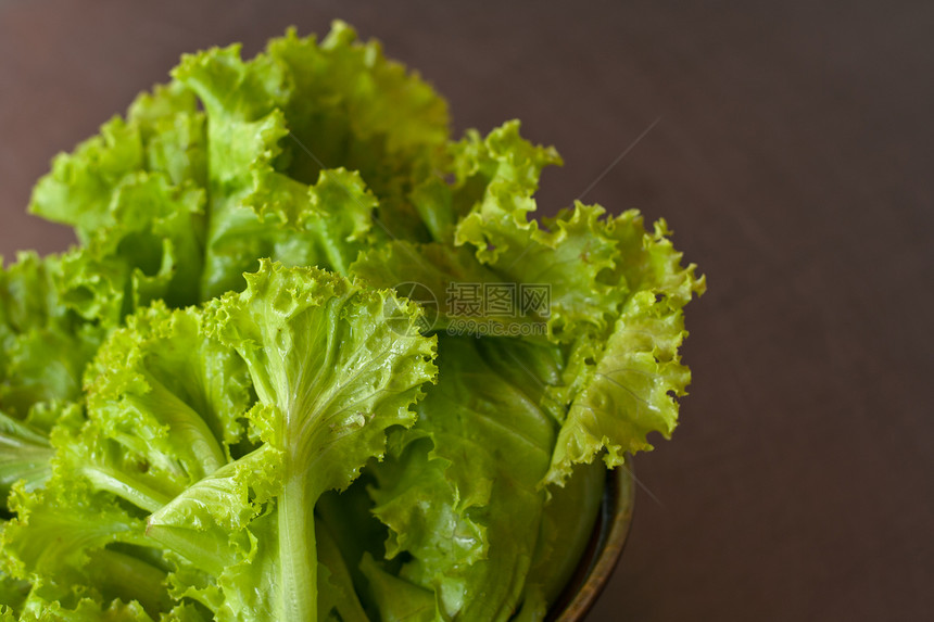 发生植物沙拉营养纤维叶子养分植被食物饮食绿色图片