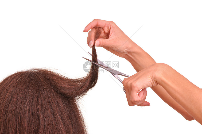 切割年轻女性的理发师发型白色金属剪发微调器工作头发棕色剪刀职业图片