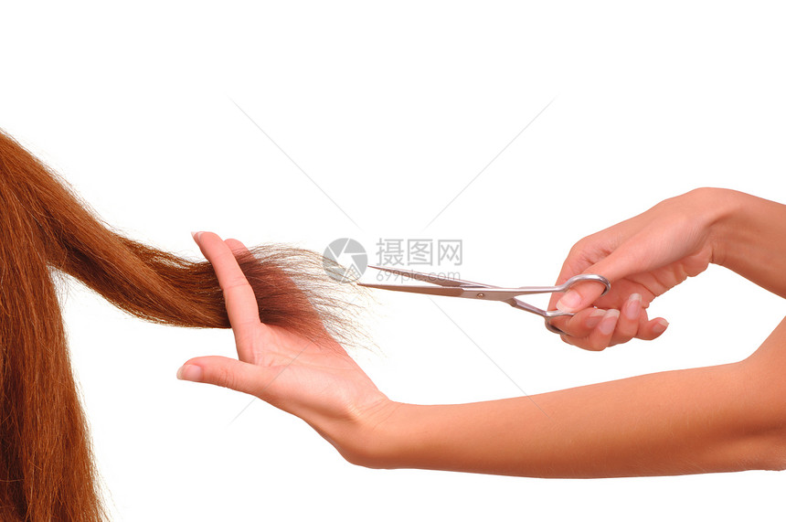 切割年轻女性的理发师工具工作造型剪刀白色金属沙龙头发剪发发型图片