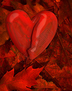 心碎季节橙子红色庆典收藏叶子白色背景图片